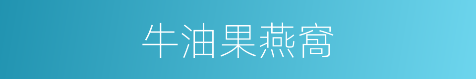 牛油果燕窩的同義詞