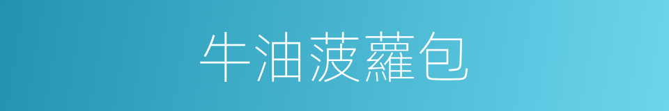 牛油菠蘿包的同義詞