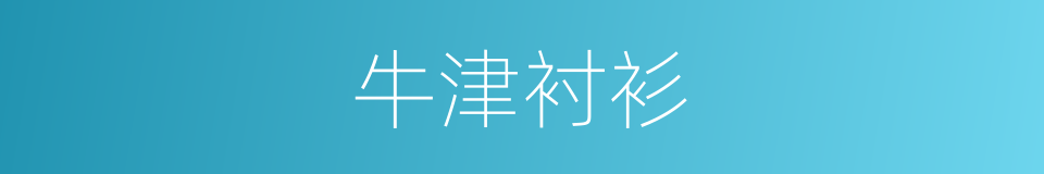 牛津衬衫的同义词