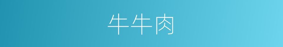 牛牛肉的同义词