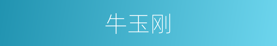 牛玉刚的同义词