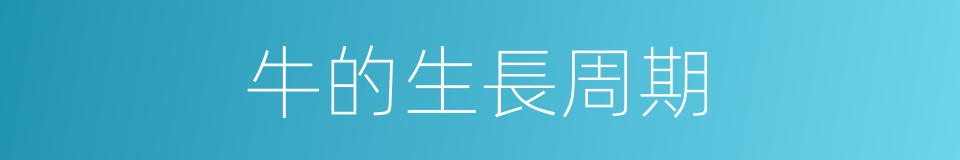 牛的生長周期的同義詞