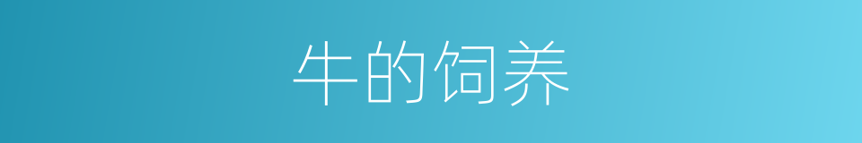 牛的饲养的同义词