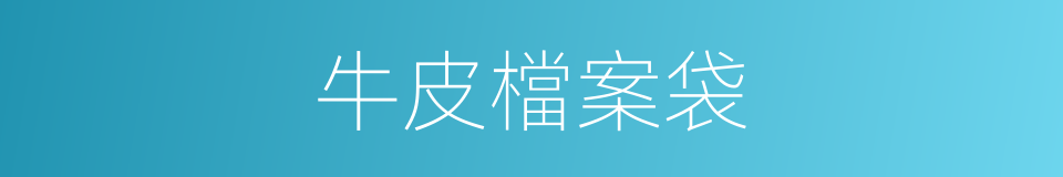 牛皮檔案袋的同義詞
