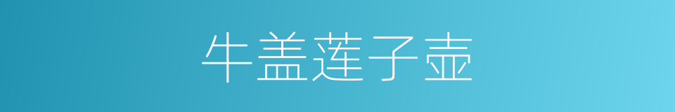 牛盖莲子壶的同义词