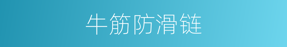 牛筋防滑链的同义词