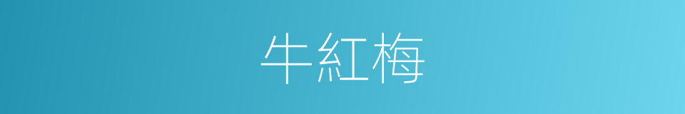 牛紅梅的同義詞