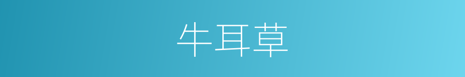 牛耳草的同义词