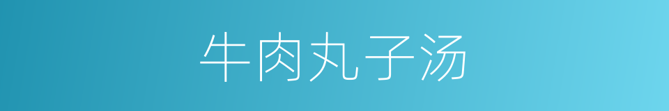 牛肉丸子汤的同义词