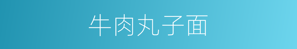 牛肉丸子面的同义词