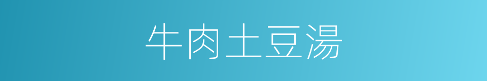牛肉土豆湯的同義詞