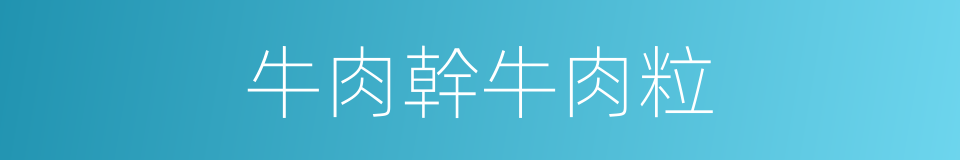 牛肉幹牛肉粒的同義詞