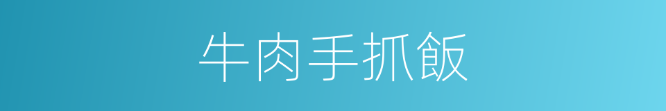 牛肉手抓飯的同義詞