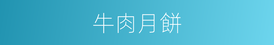 牛肉月餅的同義詞