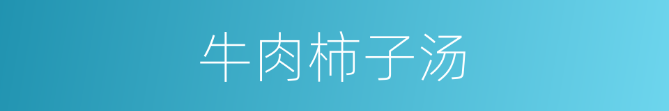 牛肉柿子汤的同义词