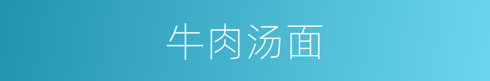 牛肉汤面的同义词