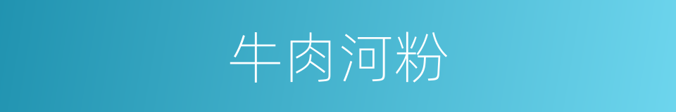 牛肉河粉的同义词