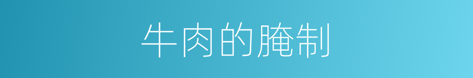 牛肉的腌制的同义词