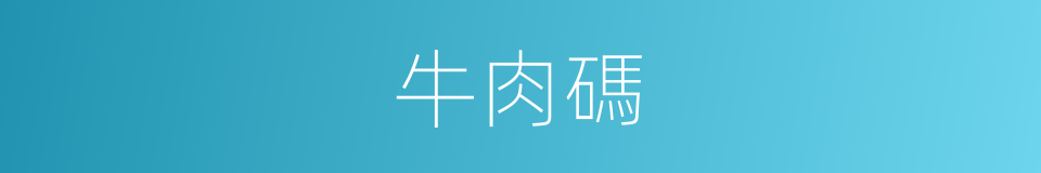 牛肉碼的同義詞