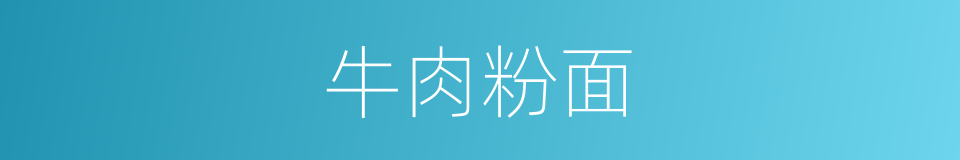牛肉粉面的同义词