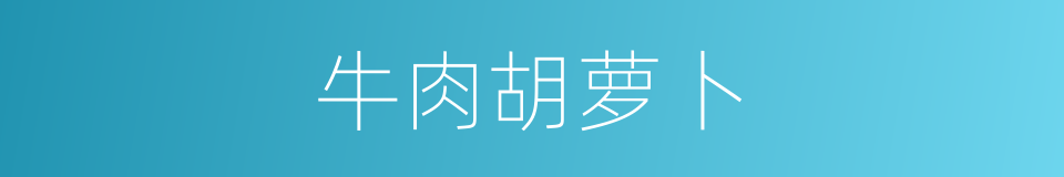 牛肉胡萝卜的同义词