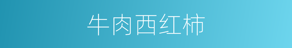 牛肉西红柿的同义词