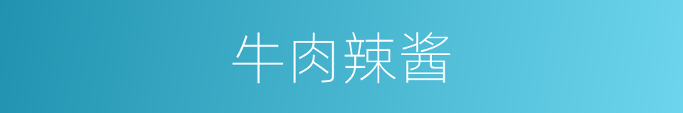 牛肉辣酱的同义词
