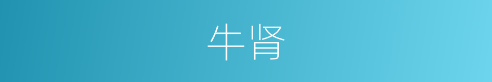 牛肾的同义词