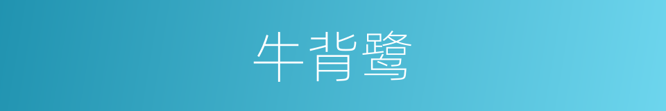 牛背鹭的同义词