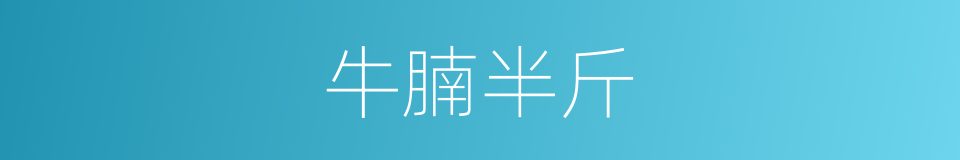 牛腩半斤的同义词