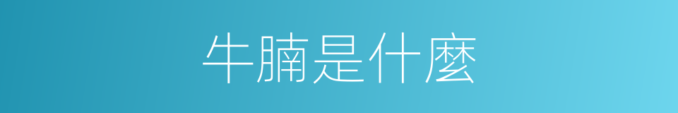 牛腩是什麼的同義詞