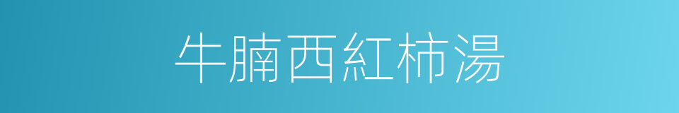 牛腩西紅柿湯的同義詞