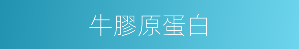 牛膠原蛋白的同義詞