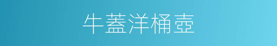 牛蓋洋桶壺的同義詞