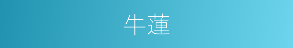 牛蓮的同義詞