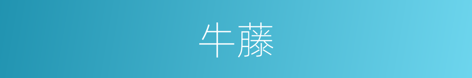 牛藤的同义词