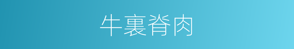 牛裏脊肉的同義詞
