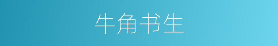 牛角书生的意思