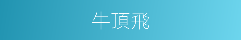 牛頂飛的同義詞