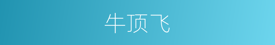 牛顶飞的同义词