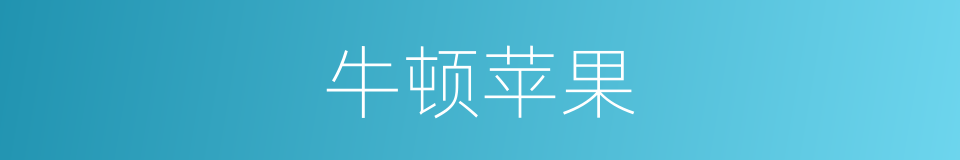 牛顿苹果的同义词