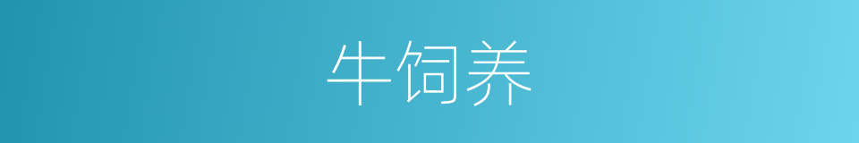 牛饲养的同义词
