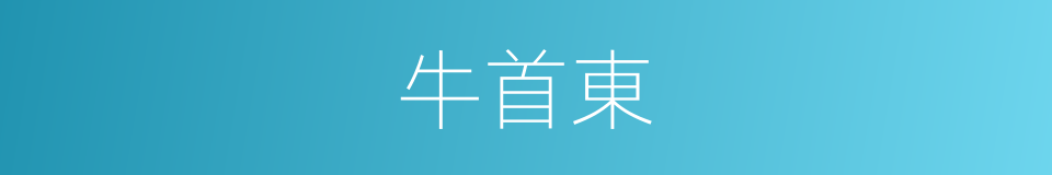牛首東的同義詞
