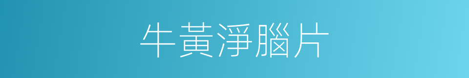 牛黃淨腦片的同義詞