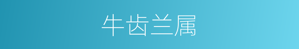 牛齿兰属的同义词