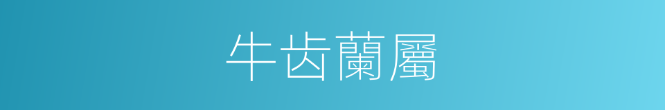 牛齿蘭屬的同義詞