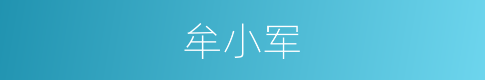 牟小军的同义词