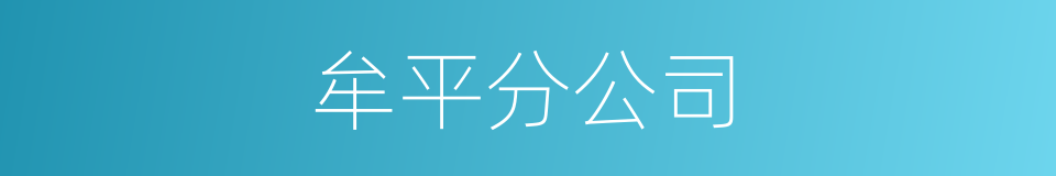 牟平分公司的同义词