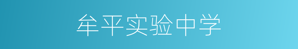 牟平实验中学的同义词