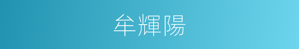 牟輝陽的同義詞